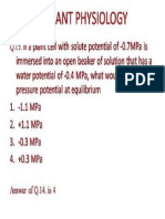 PP PDF