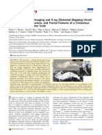 Large-Field Electron Imaging and X‑ray Elemental Mapping Unveil the Morphology, Structure, and Fractal Features of a Cretaceous Fossil at the Centimeter Scale