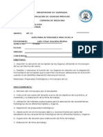 Formato de Practica (1)