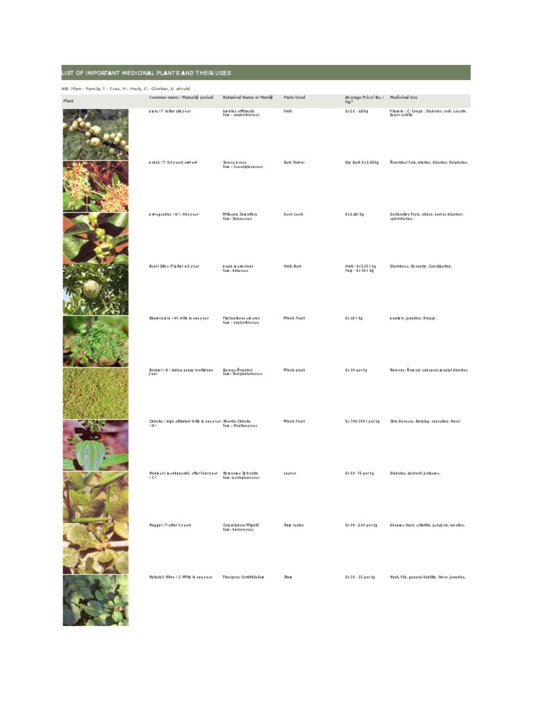 List of Important Medicinal Plants and Their Uses PDF