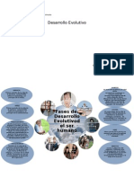 Mapa Menta Desarrollo Evolutivo