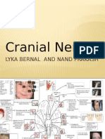Cranial Nerves: Lyka Bernal and Nand Prakash