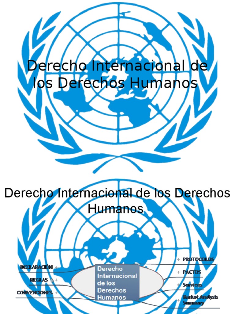 Derecho Internacional de Los Derechos Humanos | PDF