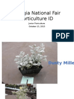 2015 Georgia National Fair Junior Floriculture Id