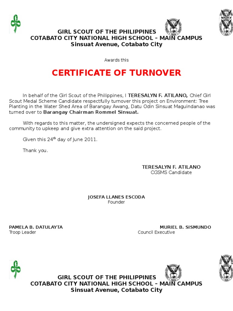 Certificate of Turnover Organizations Of Children Youth Organizations