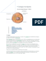 GUIA  1° medio  BIOLOGIA celula 2010