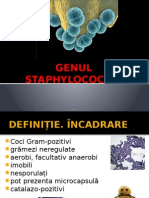 1 Staphylococcus