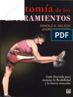 Anatomía de Los Estiramientos