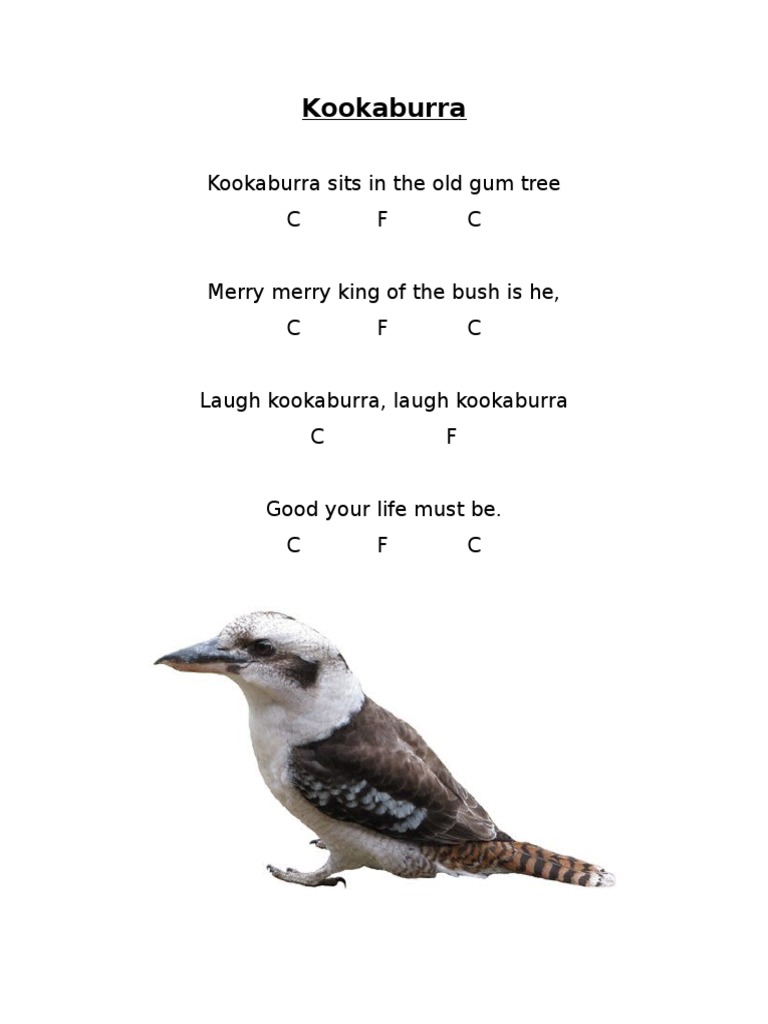 Print A4 Kookaburra Bird Song - La Source main image 1
