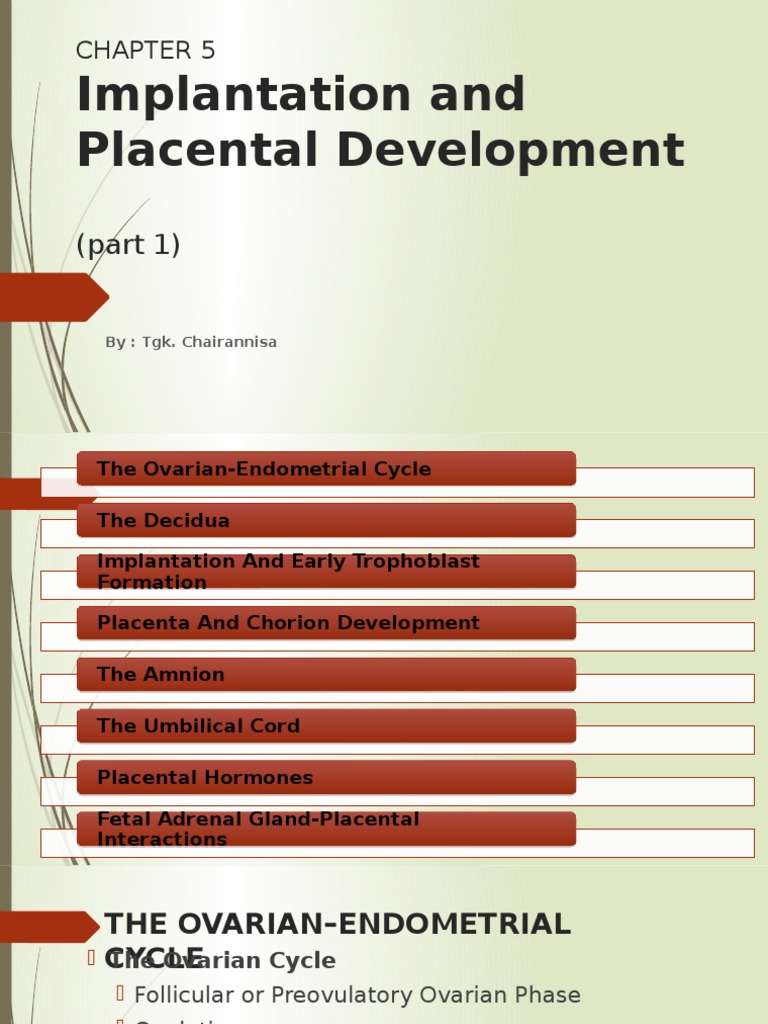 CH 5 Implantation, Placental Dev (Part1) | PDF | Implantation (Human ...