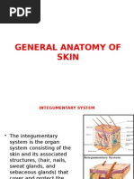 Anatomy - General Anatomy of Skin