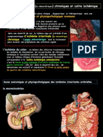 Ischémies Intestinales Chroniques Et SubaiguësFILEminimizer