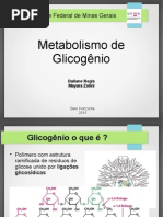 Metabolismo Glicogenio