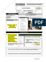 Trabajo Academico - Auditoria Financiera - 2015-I