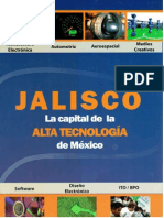 2010-Jalisco Companies 1