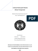 Download Peredaran Darah Pada Manusia by Laila rina munajah SN28952802 doc pdf