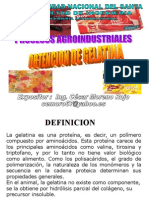Presentacion4 Gelatinas