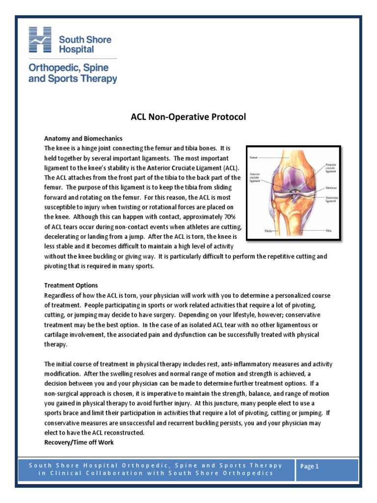 ACL Non-Operative Treatment Protocol | PDF | Knee | Joints