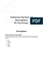 External Factors of Perception: BS Psychology