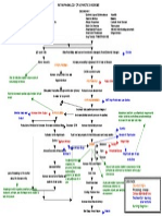 46785052 Pathophy Nephrotic Syndromeed