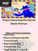 Privacy and The Internet