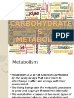 Carbohydrate Metabolism Pathways