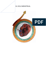 El Ciclo Menstrual