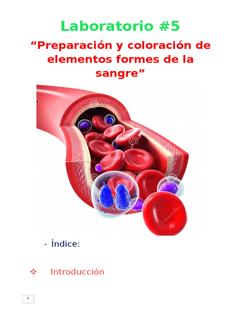 coloracion-de-elementos-formes-de-la-sangre-pdf-leucocito-sangre