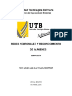 Monografia Reconocimiento de Imagenes