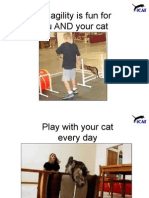 Cat Agility Is Fun For You AND Your Cat