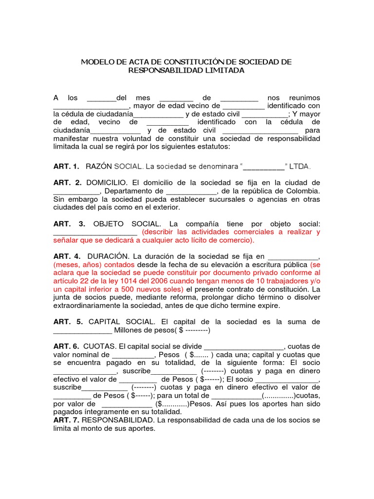 Modelo de Acta de Constitución de