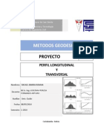 Perfil Longitudinal y Transversal Umss