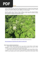 Download HUTAN DATARAN RENDAH by thenightking41 SN289683344 doc pdf
