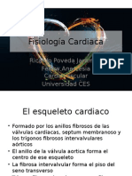 Cardiac physiology