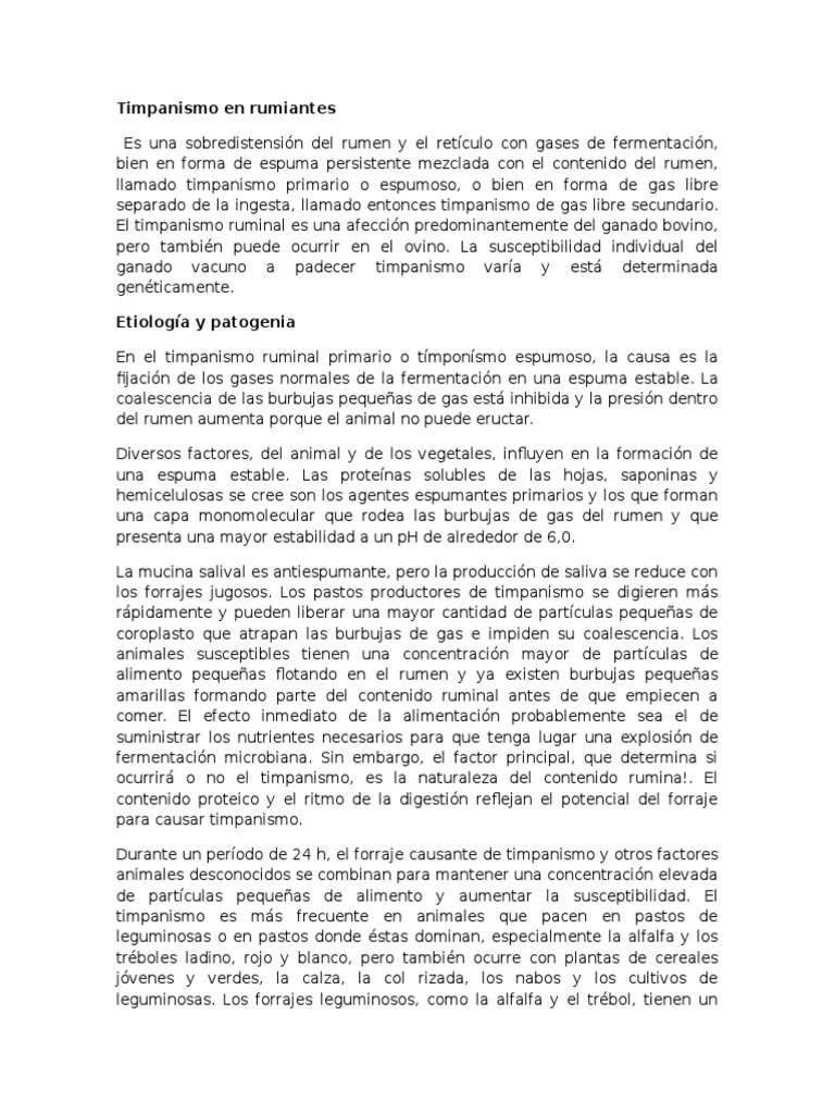 Timpanismo en Rumiantes PDF Rumiante Vacas