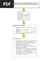 Mapa Conceptual NIA 250