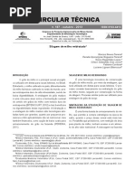 Silagem de Milho Reidratado