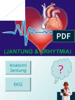 Ekg