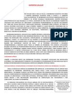 Estrutura e composição das membranas celulares