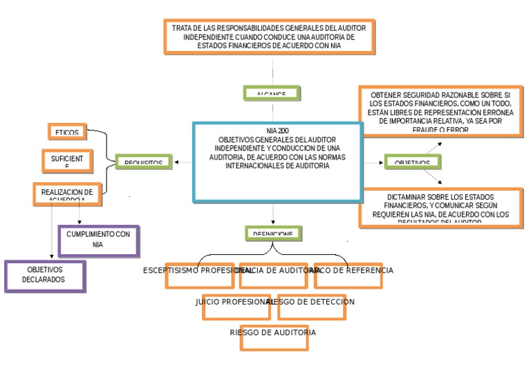 Mapa Conceptual Nia 200 PDF