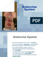 Endocrine System: Presented by Kami Dykes