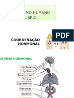 Sistema Hormonal