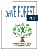 Save Forest For School Kids