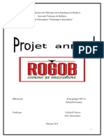 proect marketing.docx