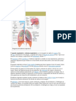 Aparato Respiratorio