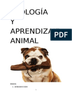 Trabajo Etología y Aprendizaje Animal