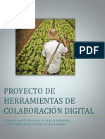 -Proyecto-Caldo-Sulfocalcico.pdf