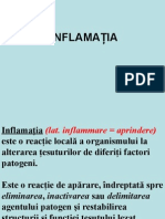 05.Inflamatia