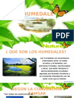 Humedales Ramsar