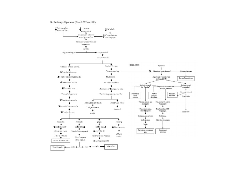 Patofisiologi HHD | PDF
